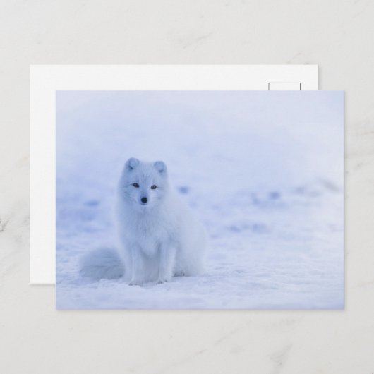 Carte postale standard (Devant / Derrière)