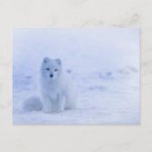 Carte postale standard (Devant)