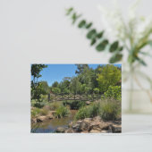 Carte postale standard (Debout devant)