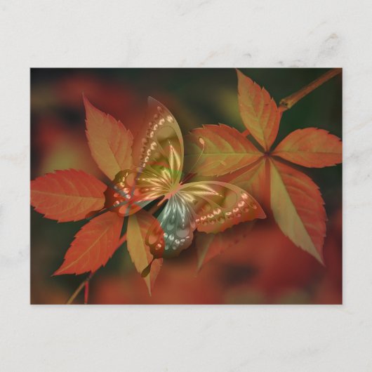 Carte postale standard (Devant)