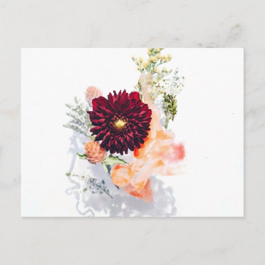 Carte postale standard (Devant)
