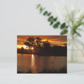 Carte postale standard (Debout devant)