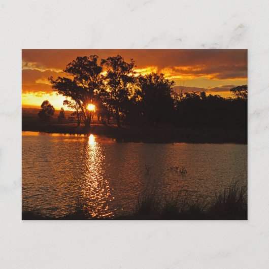 Carte postale standard (Devant)