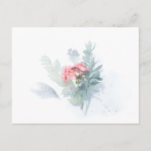 Carte postale standard (Devant)