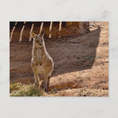 carte postale standard (Devant)