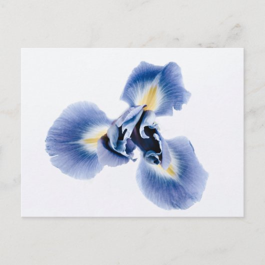 Carte postale standard (Devant)