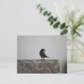 Carte postale standard (Debout devant)