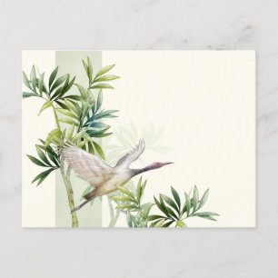 Carte postale standard