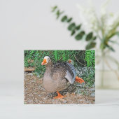 Carte postale standard (Debout devant)