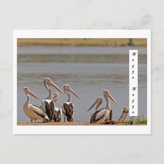 Carte postale standard (Devant)