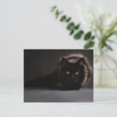 Carte postale standard (Debout devant)