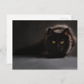 Carte postale standard (Devant / Derrière)