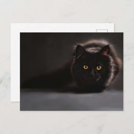 Carte postale standard (Devant / Derrière)