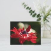Carte postale standard (Debout devant)