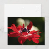 Carte postale standard (Devant / Derrière)