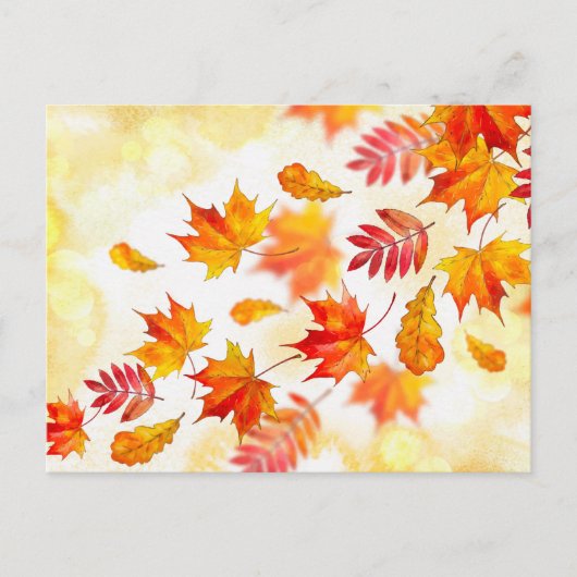 Carte postale standard (Devant)