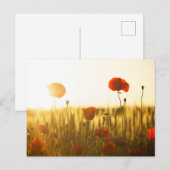 Carte postale standard (Devant / Derrière)