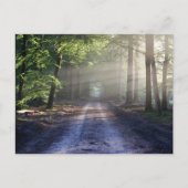 Carte postale standard (Devant)