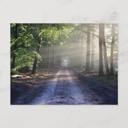 Carte postale standard (Devant)