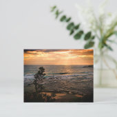 Carte postale standard (Debout devant)
