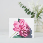 Carte postale standard (Debout devant)
