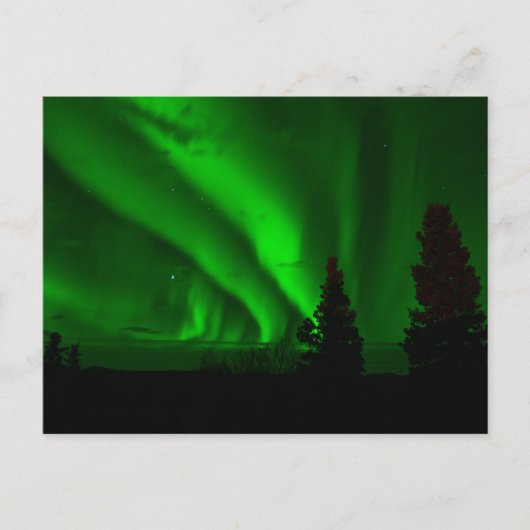 Carte postale standard (Devant)