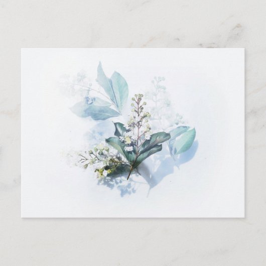 Carte postale standard (Devant)