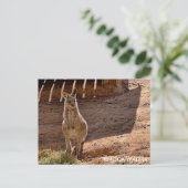 Carte postale standard (Debout devant)