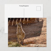 Carte postale standard (Devant / Derrière)