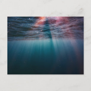 Carte postale standard