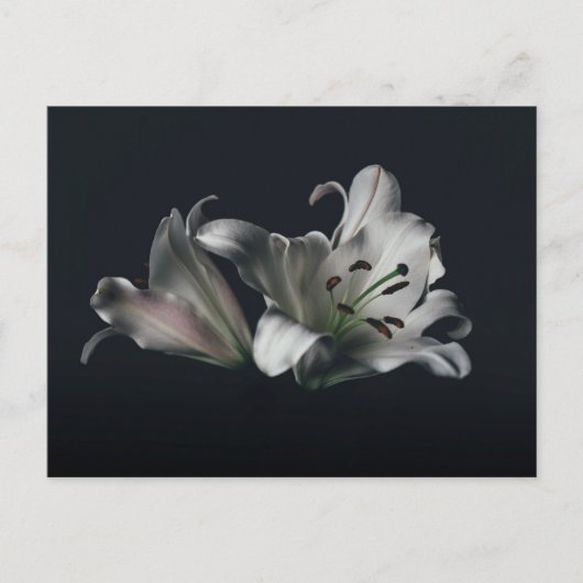 Carte postale standard (Devant)