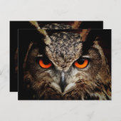 Carte postale standard (Devant / Derrière)