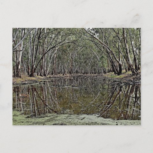 Carte Postale Standard postcard (Devant)