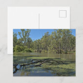 Carte Postale Standard postcard (Devant / Derrière)