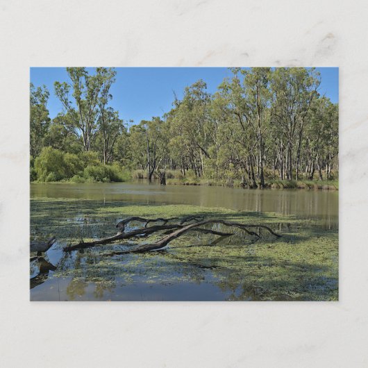 Carte Postale Standard postcard (Devant)