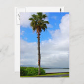 Carte postale "Standing Tall" (Devant / Derrière)