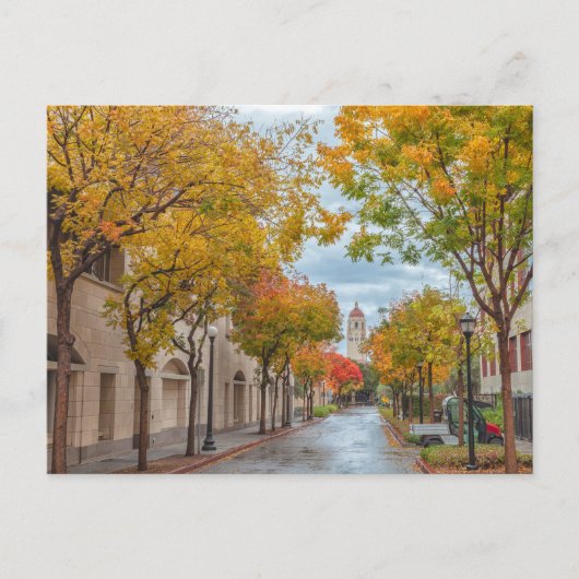 Carte Postale Stanford University Campus in Autumn (Devant)