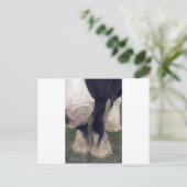 Carte Postale Stanley (Debout devant)