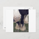 Carte Postale Stanley (Devant / Derrière)