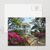 Carte Postale Stanton Hall - Printemps à Natchez, Mississippi (Devant / Derrière)