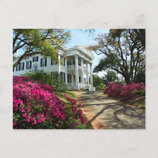 Carte Postale Stanton Hall - Printemps à Natchez, Mississippi (Devant)
