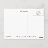 Carte postale Star Magnolia (Dos)