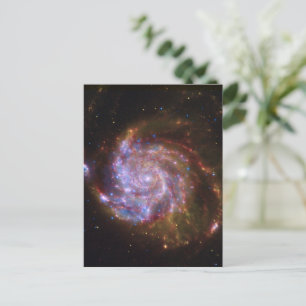 Carte Postale Starbirth in the Pinwheel : Galaxy M101
