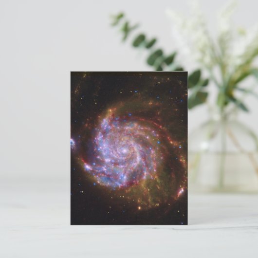 Carte Postale Starbirth in the Pinwheel : Galaxy M101 (Debout devant)