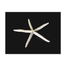 Carte postale Starfish