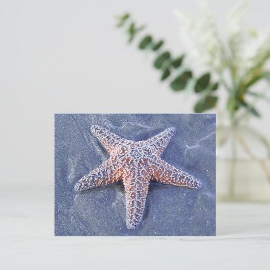 Carte postale Starfish (Debout devant)