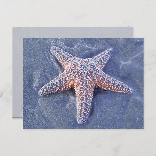 Carte postale Starfish (Devant / Derrière)