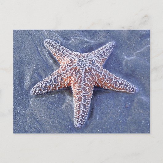 Carte postale Starfish (Devant)