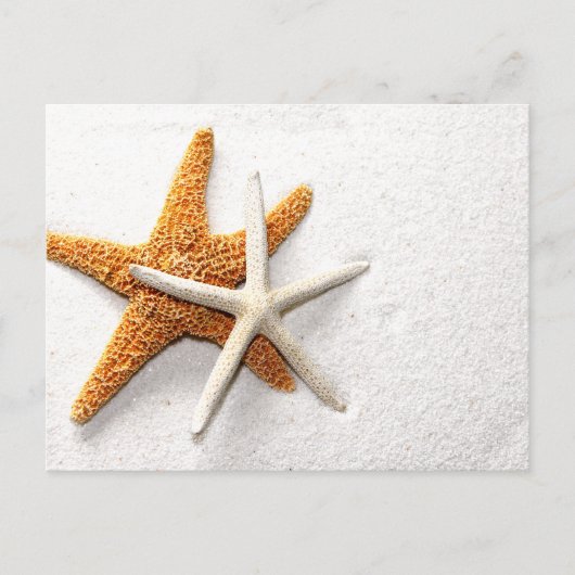 Carte postale Starfish (Devant)