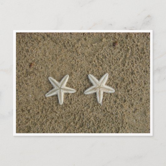 CARTE POSTALE STARFISH (Devant)